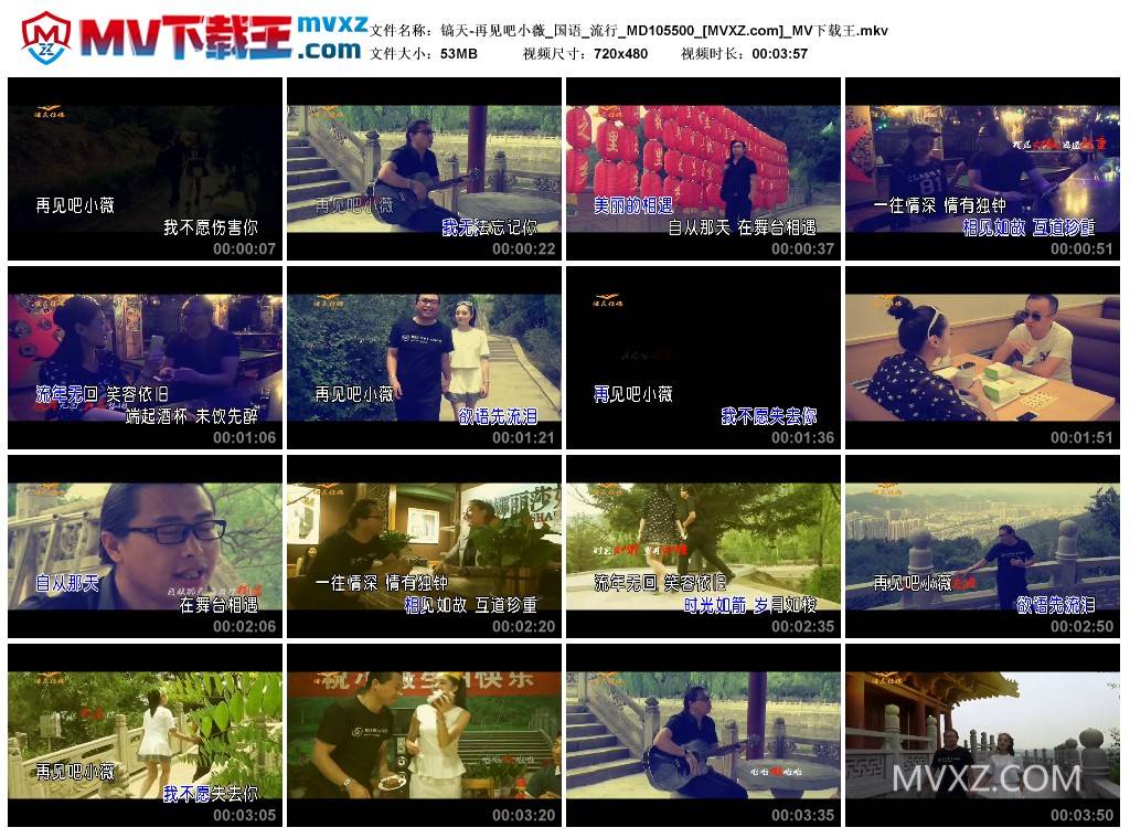 镐天-再见吧小薇_国语_流行_MD105500